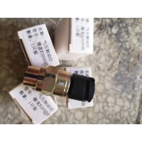 DZ97189711310氣壓傳感器