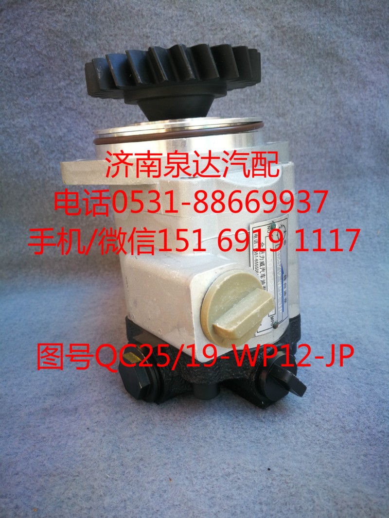 QC25/19-WP12-JP,转向泵,济南泉达汽配有限公司
