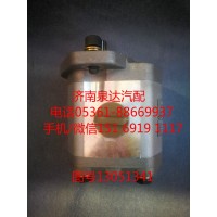 13051341潍柴道依茨齿轮式转向油泵