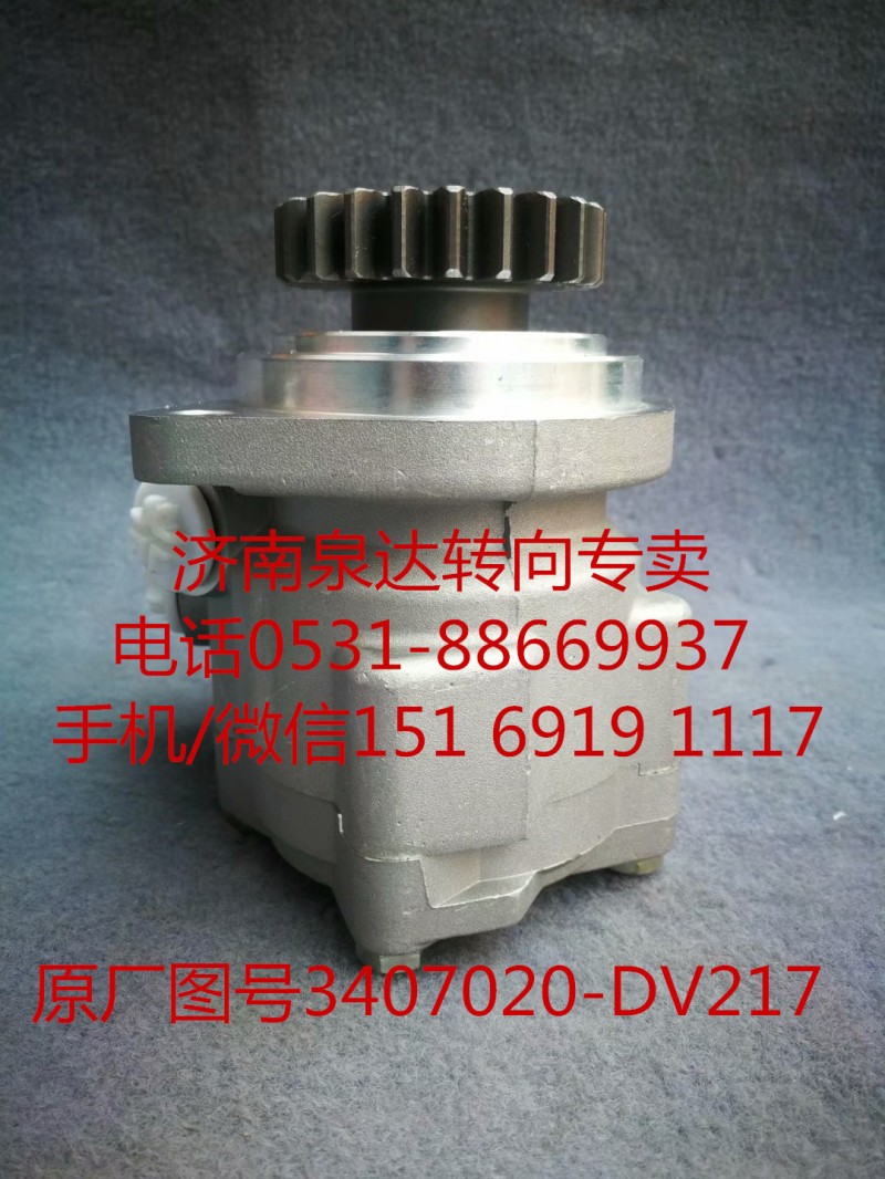 3407020-DV217,助力泵,济南泉达汽配有限公司
