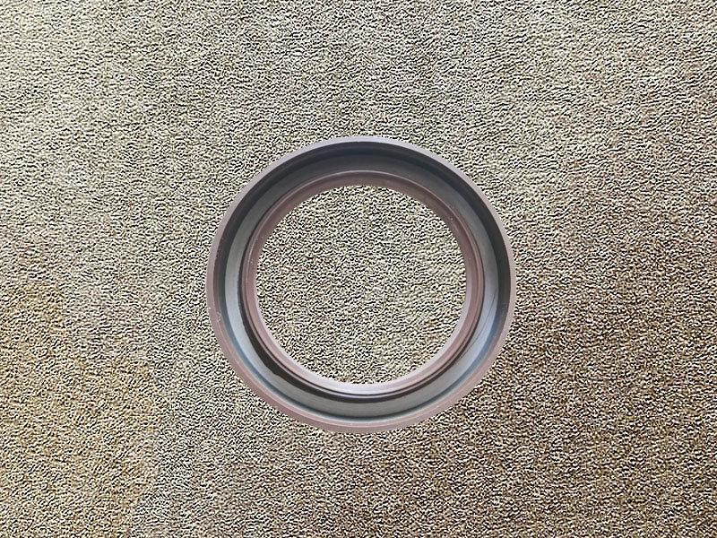 WG9003070055,A shaft seal,济南向前汽车配件有限公司