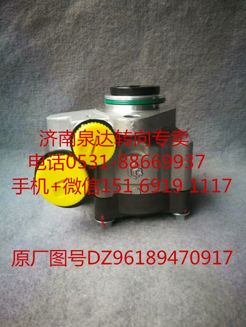 DZ96189470917,转向助力泵,济南泉达汽配有限公司