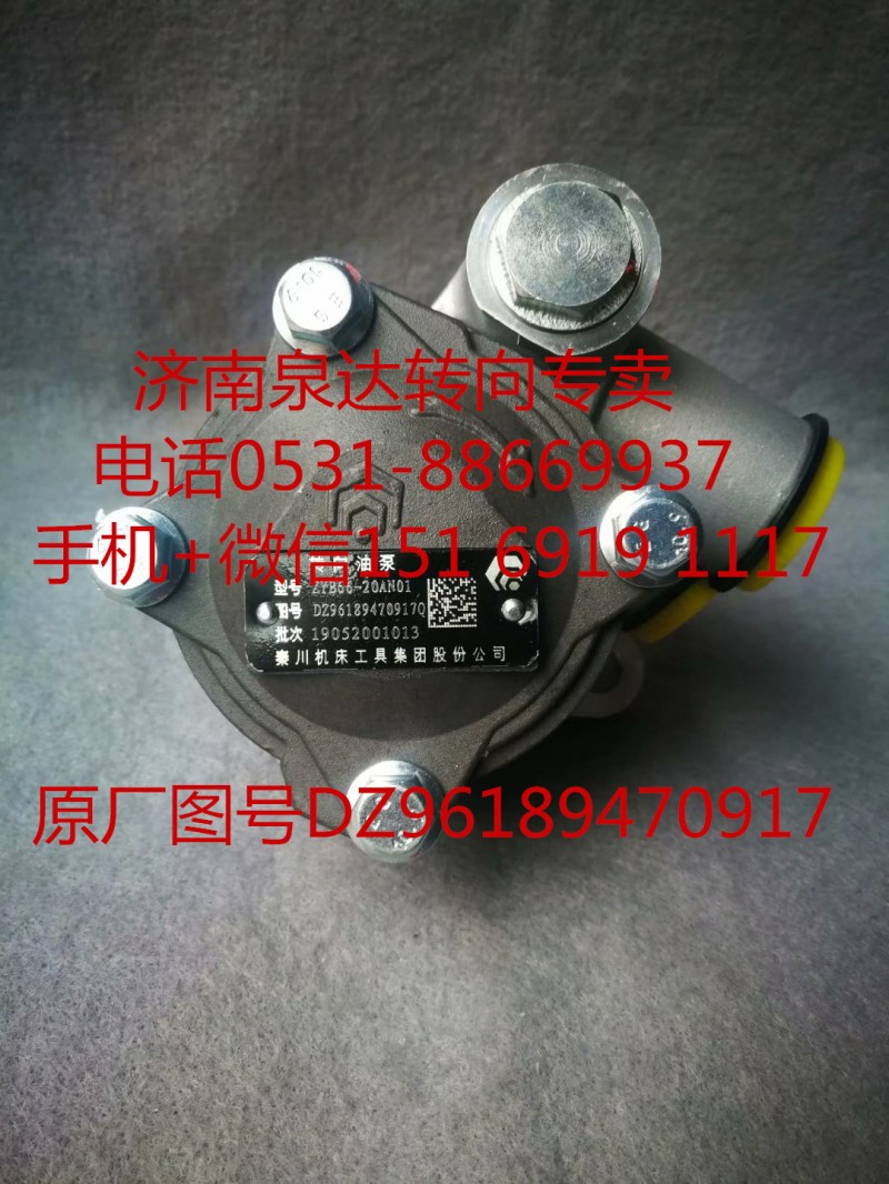 DZ96189470917,转向助力泵,济南泉达汽配有限公司
