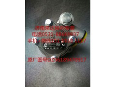 DZ96189470917,转向助力泵,济南泉达汽配有限公司