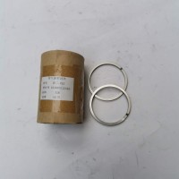 612600110162排氣管密封環(huán)