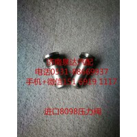 博世采埃孚进口8098发动机 泄压阀 限压阀