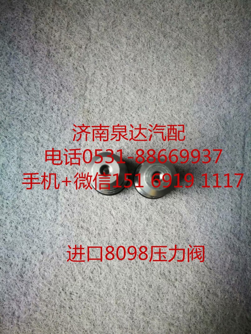 博世采埃孚进口8098发动机 泄压阀 限压阀/8118957101