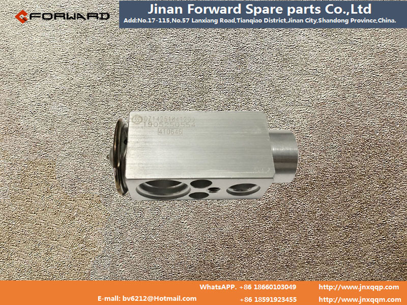 DZ14251841200,Expansion valve assembly,济南向前汽车配件有限公司