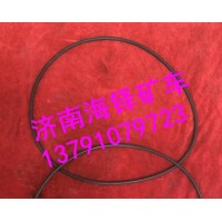 70礦山霸王后輪油封座 WG9970340018