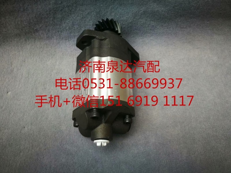 中聯(lián)重科浦沅徐工起重機(jī) 吊車轉(zhuǎn)向泵 助力泵 齒輪泵/1010001303