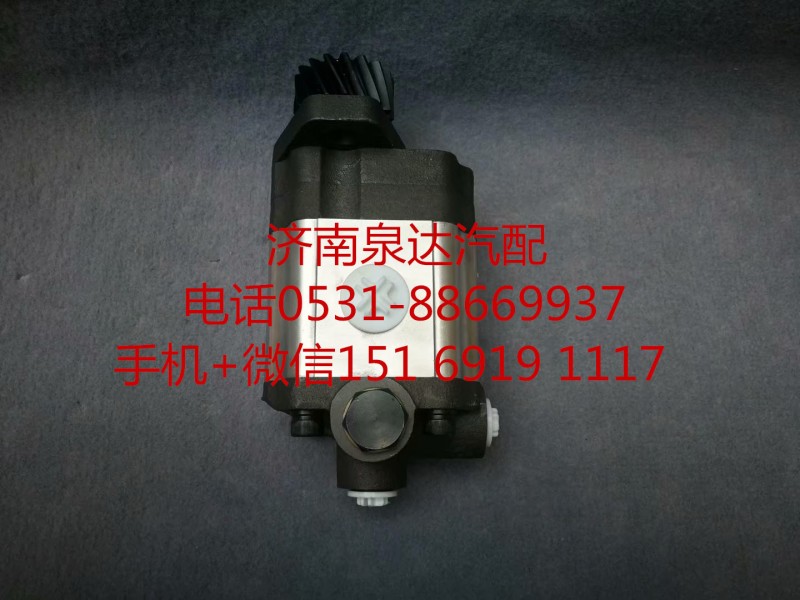 中聯重科浦沅徐工起重機 吊車轉向泵 助力泵 齒輪泵/10323000027