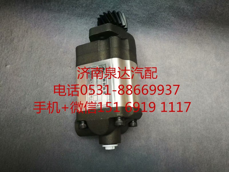 中聯重科浦沅徐工起重機 吊車轉向泵 助力泵 齒輪泵/10323000027