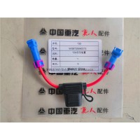 WG9725580013 10A保險裝置
