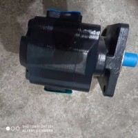 齿轮泵JHP2063专业外贸专柜汽车配件