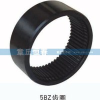5BZ輪邊內齒圈