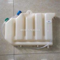 WG9112530333膨脹箱