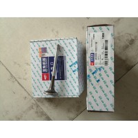 M3000-1003111B進(jìn)氣門