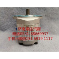 臨工 龍工壓路機(jī)方向機(jī)助力泵 轉(zhuǎn)向泵 液壓泵