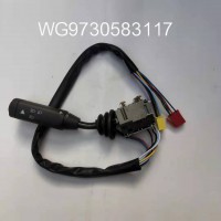 WG9730583117组合开关