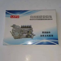 612601080138高壓油泵修理包