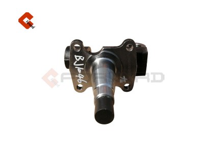 L0300061192A0-20-210130JS,Steering knuckle,济南向前汽车配件有限公司