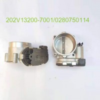 節(jié)氣門202V13200-7001/0280750114