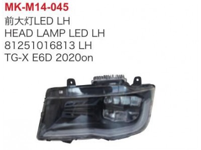 前大灯LDE左 81251016813