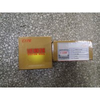 612600030051活塞環(huán)