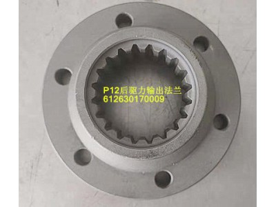 P12后驱力输出法兰612630170009