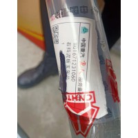 重汽親人配件