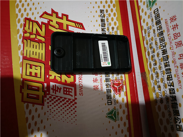 WG1664239019重汽豪沃TH7面罩开启手柄盖板