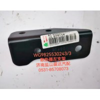 散熱器左支架WG9825530243