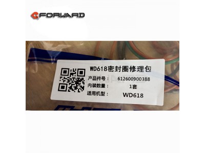 612600900388,Seal ring repair kit,济南向前汽车配件有限公司