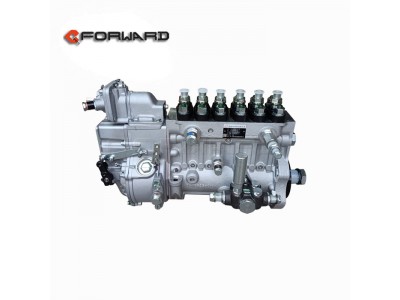 1001671519,Fuel injection pump 430 HP,济南向前汽车配件有限公司