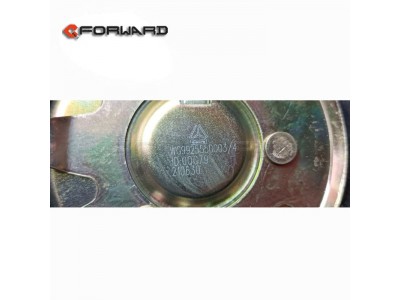 WG9925550003,Fuel tank lock cover assembly,济南向前汽车配件有限公司
