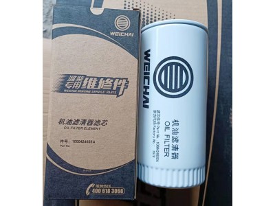 机油滤清器滤芯1000424655A
