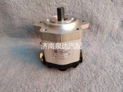 803000065,转向助力泵,济南泉达汽配有限公司