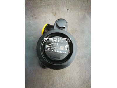 DZ96189470702,转向助力泵,济南泉达汽配有限公司