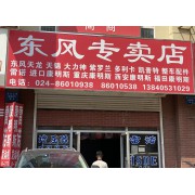沈阳东风专卖店