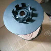 201V12503-0062/1 燃油滤清器芯 带O型圈