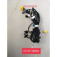 歐曼GT LEST車門線束右 H4374060307A0