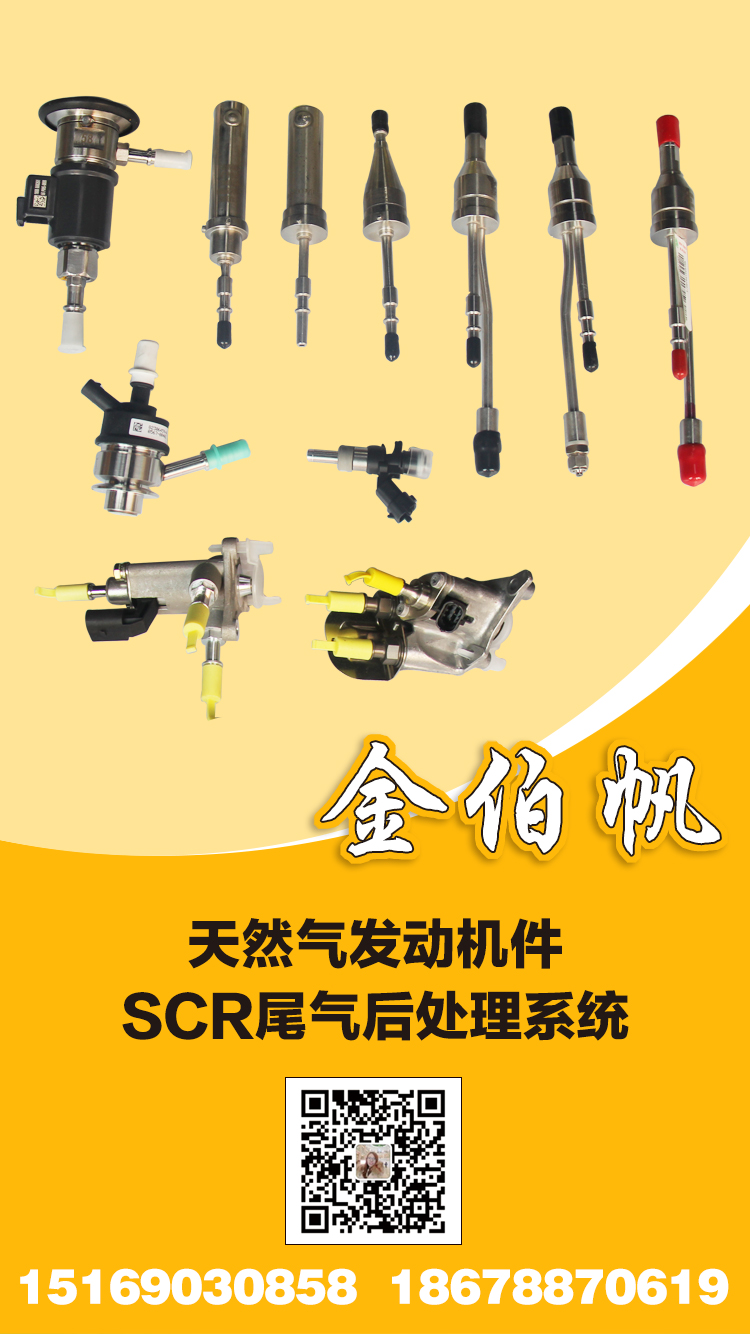 金伯帆4
