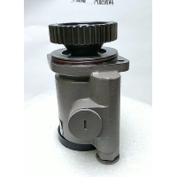 610800130022   大液轉(zhuǎn)向泵