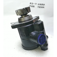 DZ9100130029   海德轉(zhuǎn)向泵