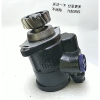 DZ9100130045   海德轉(zhuǎn)向泵