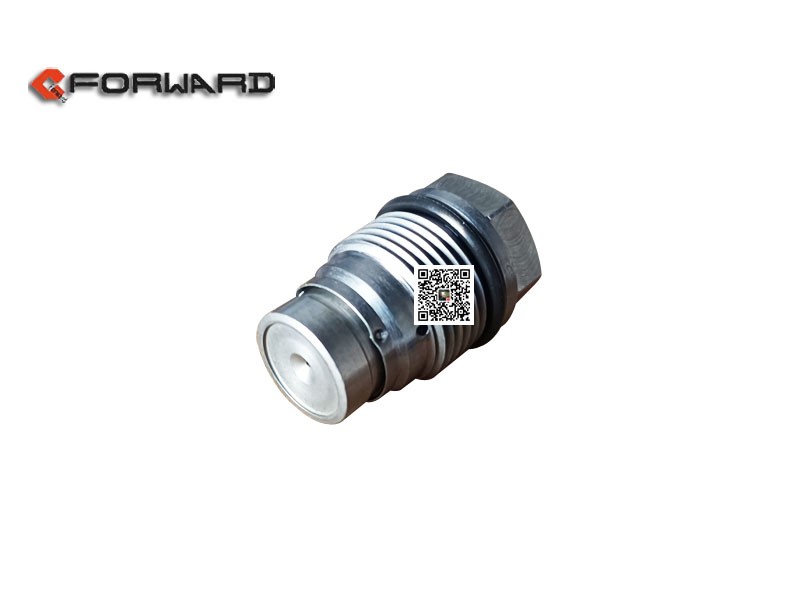 1110010028,Pressure relief valve,济南向前汽车配件有限公司