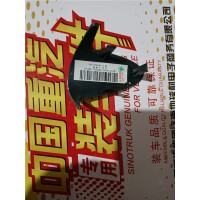 重汽豪沃TH7左盖板WG1664772102