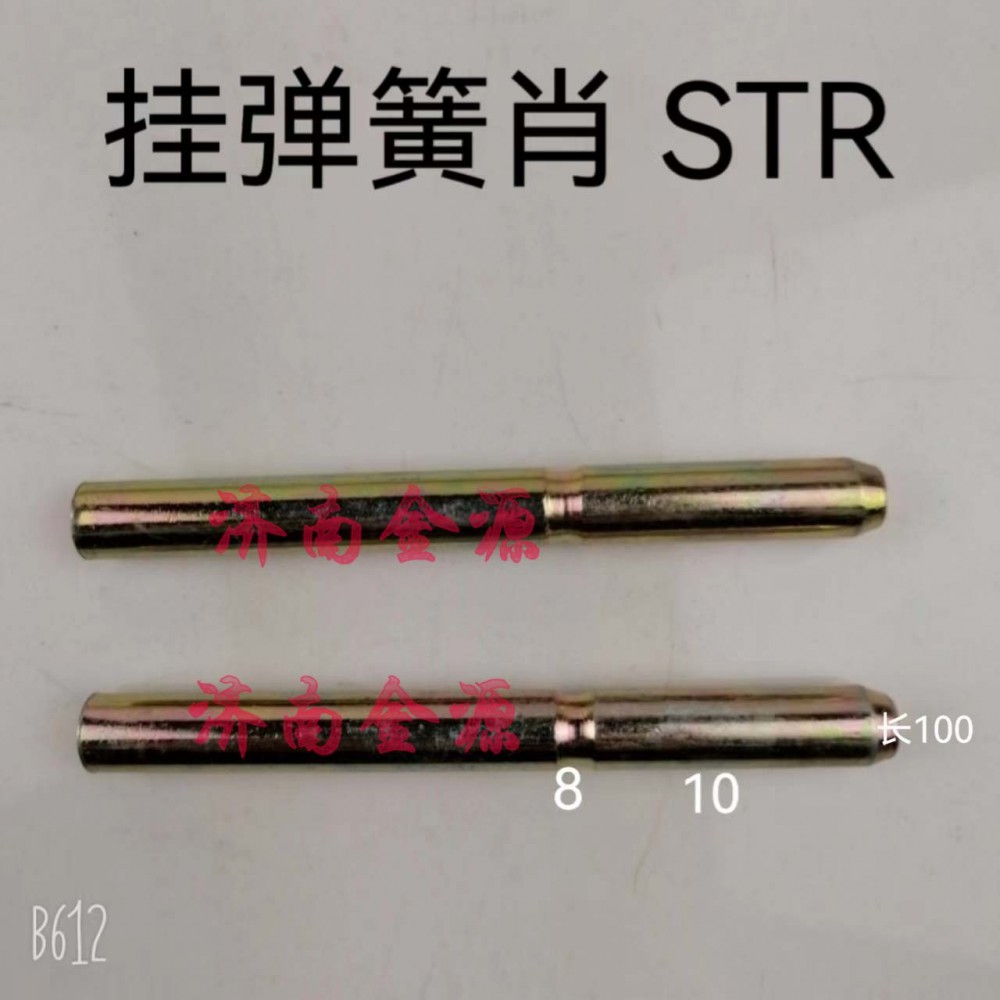 刹车蹄肖轴 STR  W0561/