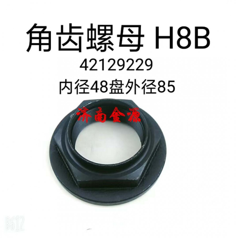 角齿罗母 H8B W1618/42129229