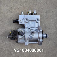 VG1034080001供油泵